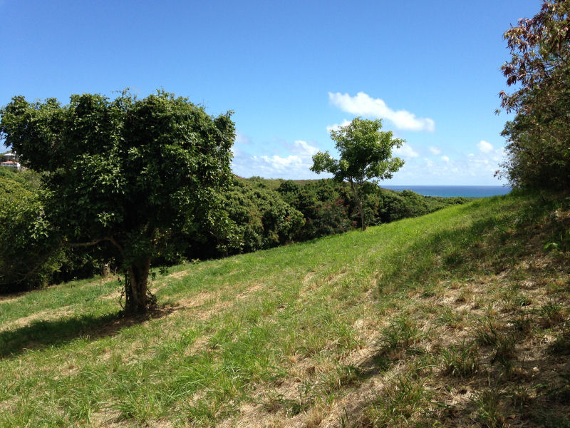 Land for Sale on St Croix